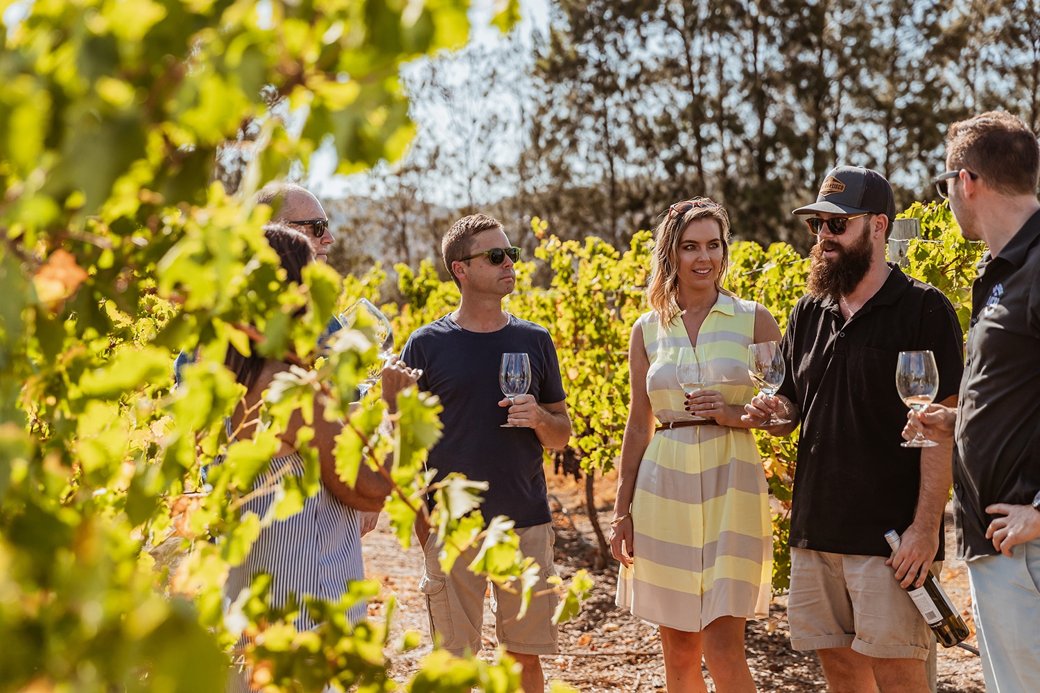 swan valley wine tours private